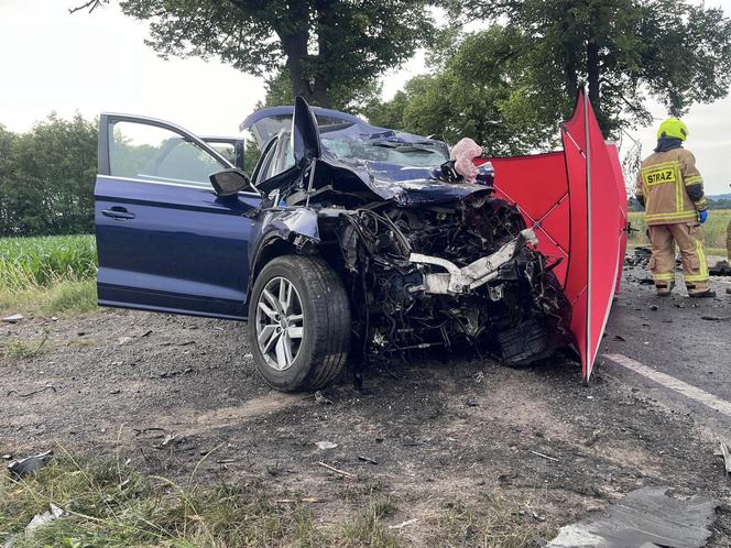 Audi zmiażdżone, ciężarówka na boku. 48-letnia kobieta zginęła w tragicznym wypadku 