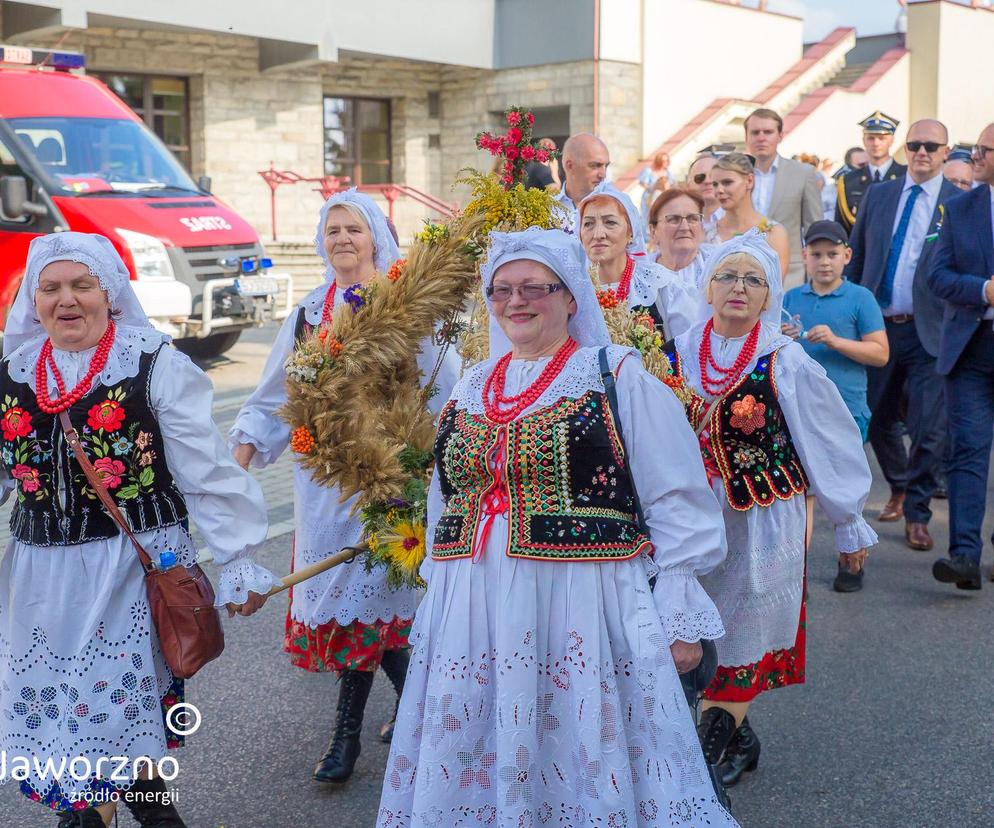 Dożynki miejskie w Jaworznie