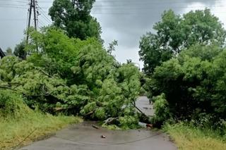 Działania straży podczas wakacji