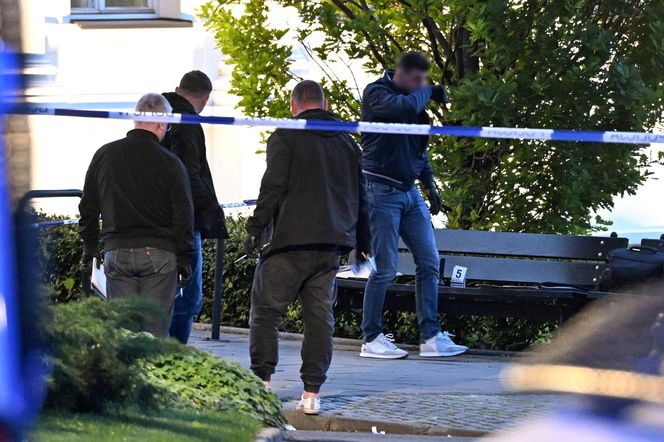 Masakra siekiera na Uniwersytecie Warszawskim. Kobieta z podciętą głową