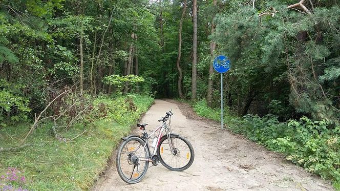 Nowa ścieżka rowerowa wokół malowniczego jeziora w Olsztynie. Mieszkańcy czekali na nią latami