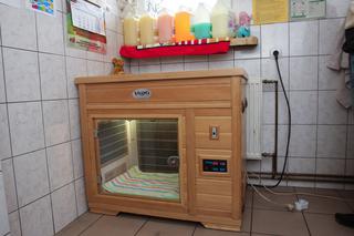 USG I INKUBATOR DLA PSIAKÓW.