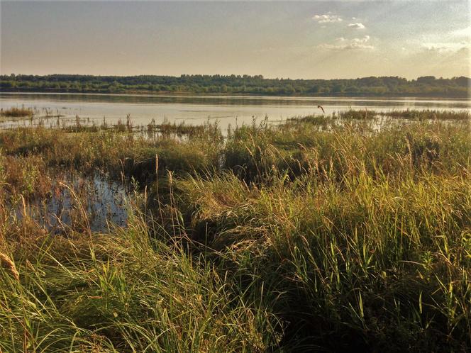 Zamek w Bobrownikach - Widok na Wisłę