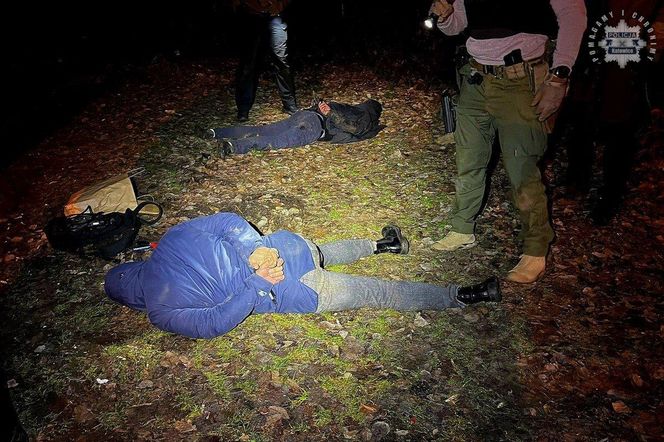 Kradli na Śląsku samochody klasy premium. Duża akcja kontrterrorystów