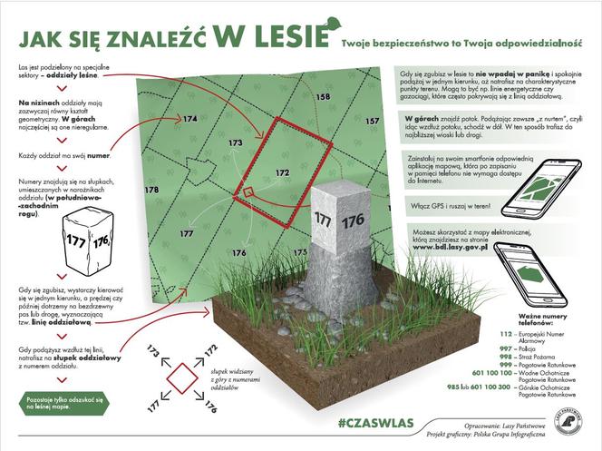 Warto skorzystać z tych rad – jak nie zgubić się w lesie?