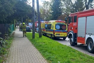 W domu znaleziono ciała trzech osób i dwa martwe psy
