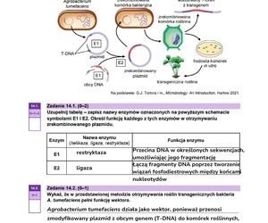 Matura 2025 - biologia
