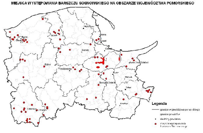 Barszcz Sosnowskiego na Pomorzu