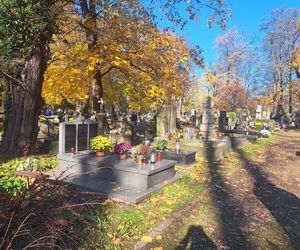 Kwesta na cmentarzu Rakowickim 2025