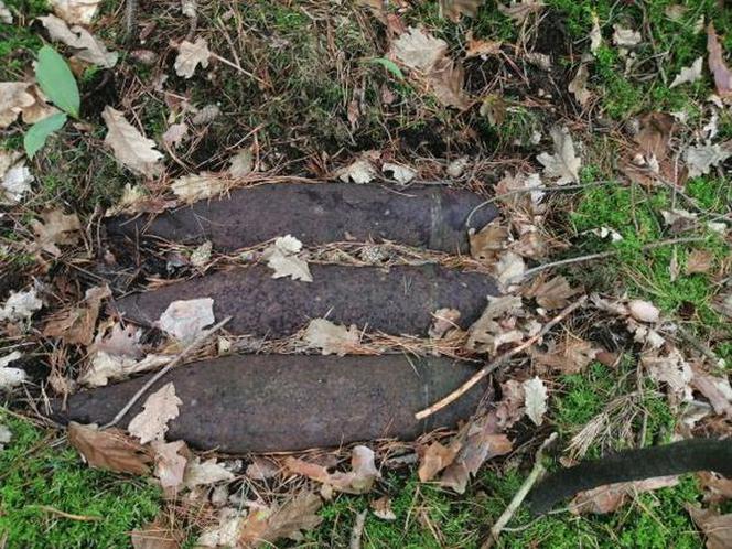 Poszedł do lasu na grzyby. Znalazł trzy pociski artyleryjskie z czasów II wojny światowej