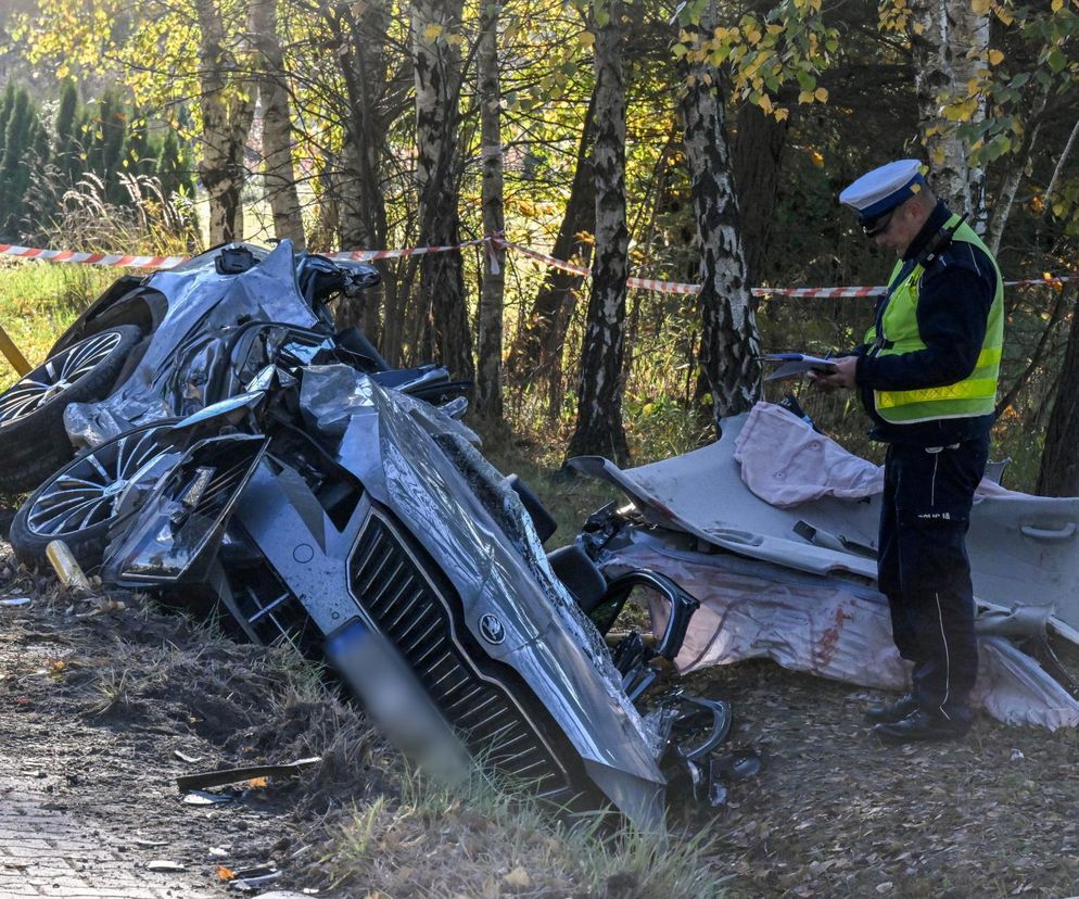 Celiny. Śmiertelny wypadek na DK73