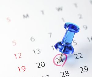 Kalendarz pylenia roślin