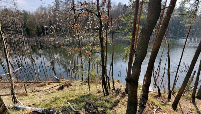 Kolorowe jeziorka w Bibieli na Pasiekach to atrakcja województwa śląskiego