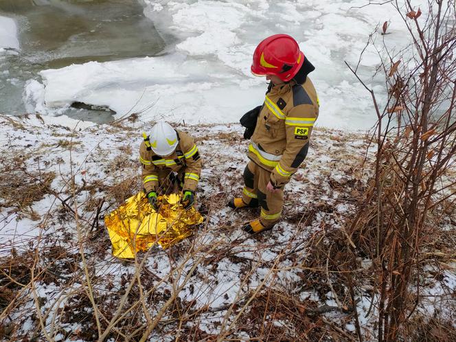 strażacy ratowali sarnę, która wpadła do rzeki