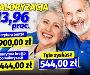 Podwyżki dla seniorów w 2024! Tyle dostaną od rządu Tuska