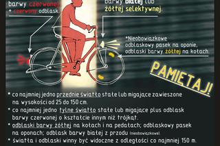 Rowerowa Masa Krytyczna w Toruniu