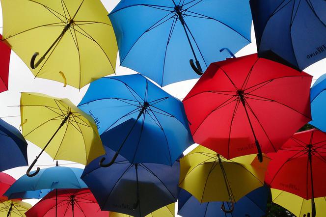 Radny z Pszczyny widzi LGBT w kolorowych parasolach. Nie uwierzycie, o co zapytał na sesji