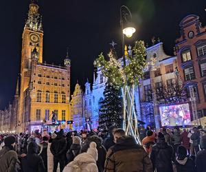 Gdańska choinka rozbłysła. Zobaczcie nasze zdjęcia!