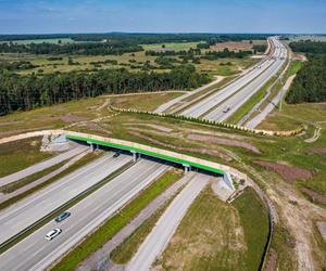 Autostrada A1 Piotrków Trybunalski Zachód - Kamieńsk