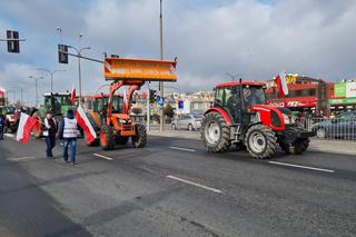 Protest rolników w Lublinie [GALERIA]