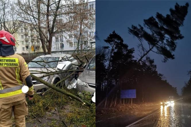 Zerwane dachy, drzewa na samochodach i brak prądu. Fatalny bilans wichury w Toruniu i okolicach