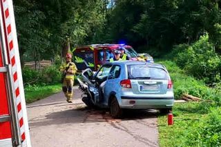 Młody kierowca wjechał w drzewo. 29-latek jechał bez pasów i prawa jazdy