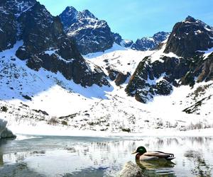 Tatrzański Park Narodowy zamyka część szlaków w Tatrach. Otworzą się dopiero w maju [WIDEO]