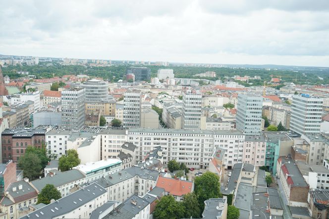 Otwarcie tarasu widokowego Collegium Altum
