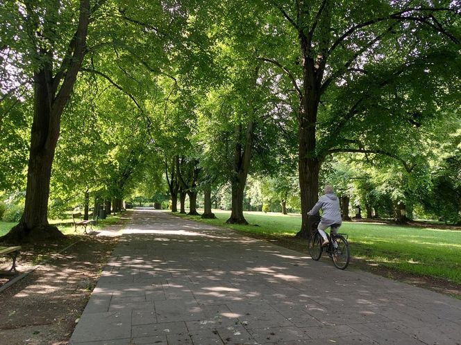 Park Miejski w Zamościu