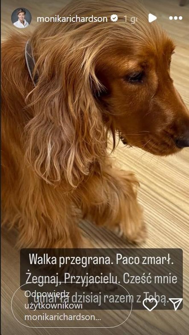 Paco, pies Moniki Richardson