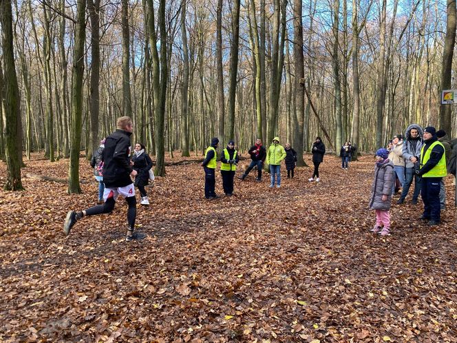 Niebieski Bieg Niepodległości. Przebiegli 10 km by uczcić niepodległą Polskę