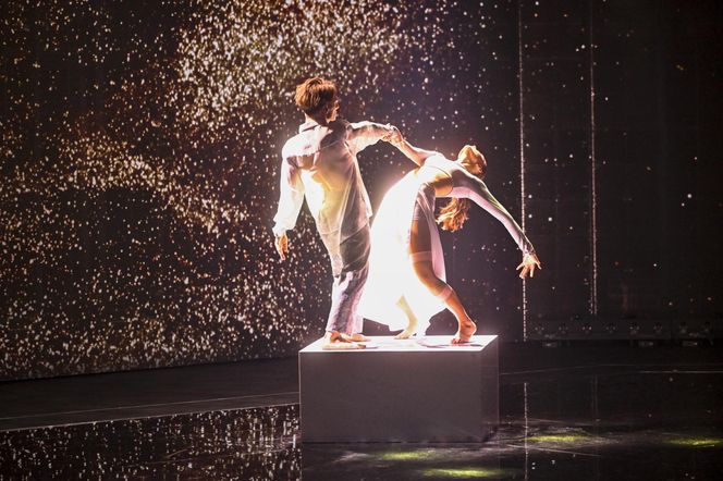 Gwiazdy na finale "You Can Dance"