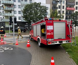 W Elblągu wylała rzeka. Wprowadzono stan pogotowia przeciwpowodziowego. „Każdy z nas się boi”