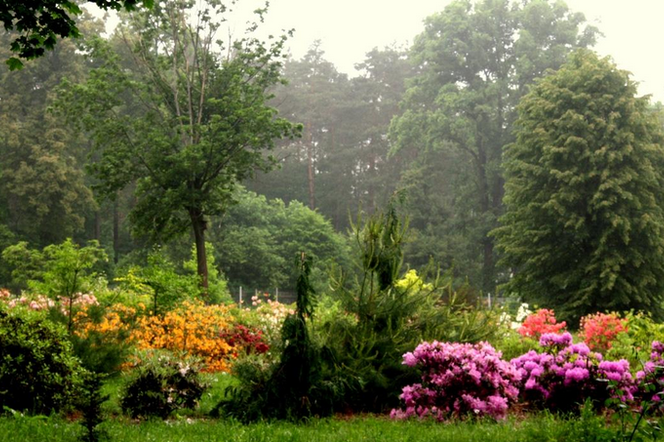 Arboretum Marcule