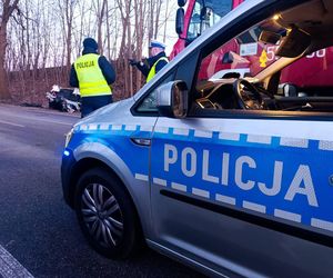 Sopieszyno. Audi roztrzaskało się na drzewie. 36-latek nie miał szans na przeżycie