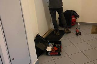 Zostawiła psy na tydzień bez jedzenia i picia! Jednego uwiązała na smyczy