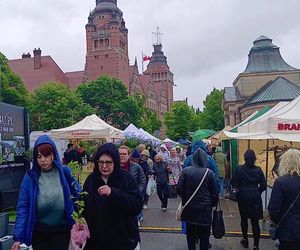 Kiermasz Pamiętajcie o ogrodach