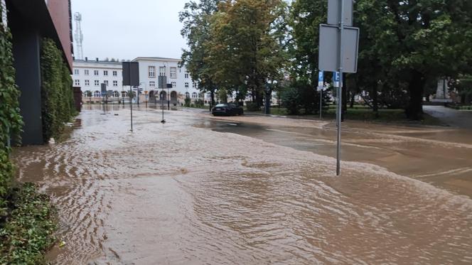 Nysa. Ratownicy WOPR i GOPR z całego kraju zjeżdżają do miasta. Dwugodzinne kolejki w sklepach