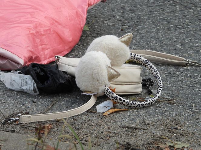 Dziewczynki potrącone na przejściu