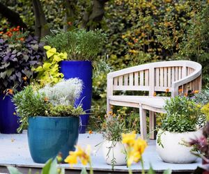 Ogród Botaniczny we Wrocławiu