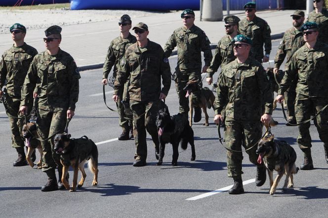Defilada Wojska Polskiego bez psów. Upały pokrzyżowały plany. Znamy szczegóły