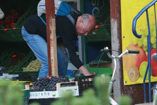 Marek Borowski kradnie śliwki