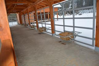 Pokazowa Zagroda Żubrów w Krajewie prawie gotowa [ZDJĘCIA]