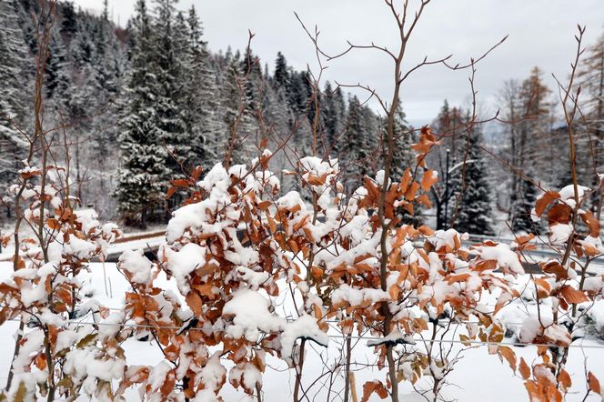 Zakopane zasypane śniegiem