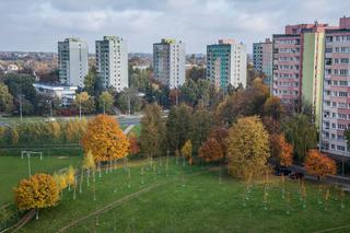 Jesień w Lublinie na zdjęciach