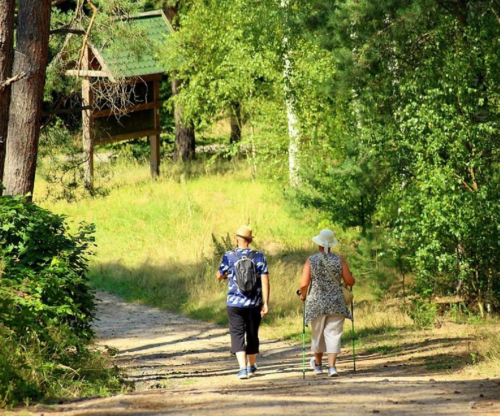 Szukają najaktywniejszego seniora