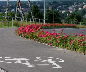 Starachowice. To najbardziej ukwiecone miasto świętokrzyskiego