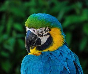ZOO Gdańsk otwiera bramy za darmo! Rodzinny piknik Bioróżnorodnie połączeni już w niedzielę