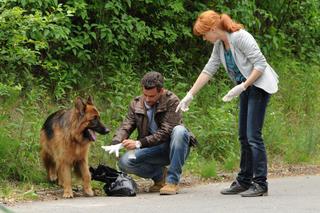 Komisarz Alex 4 sezon odcinek 40 (odc. 1). Michał Orlicz (Antoni Pawlicki), Lucyna (Magdalena Walach)