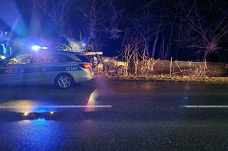 Zjechał z drogi i huknął w drzewo. Jego auto stanęło w płomieniach. Cudem uniknął śmierci